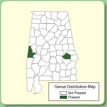 Genus Distribution Map