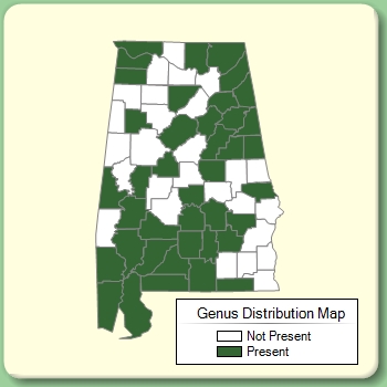 Genus Distribution Map