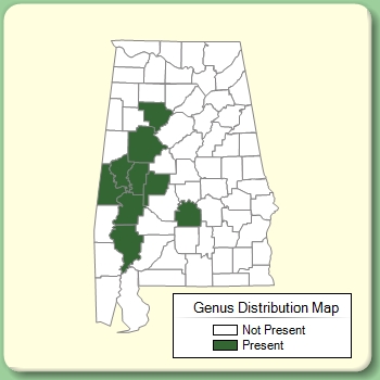 Genus Distribution Map