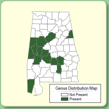 Genus Distribution Map