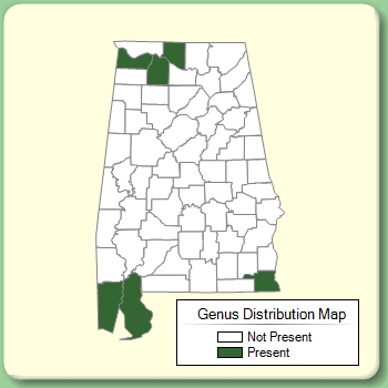 Genus Distribution Map