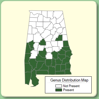 Genus Distribution Map