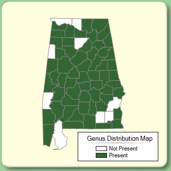 Genus Distribution Map