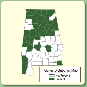 Genus Distribution Map