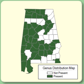 Genus Distribution Map