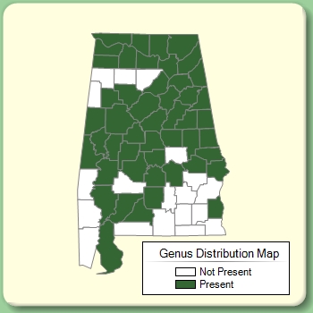 Genus Distribution Map