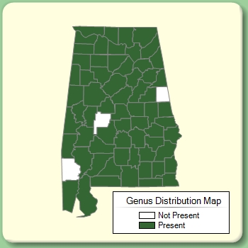 Genus Distribution Map