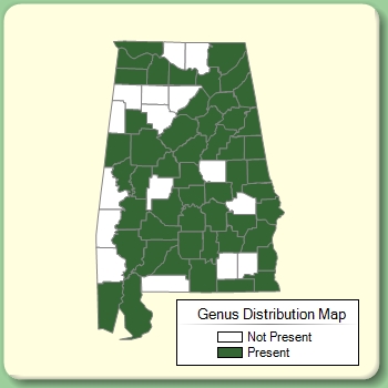 Genus Distribution Map