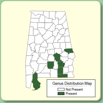 Genus Distribution Map