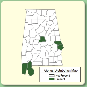 Genus Distribution Map