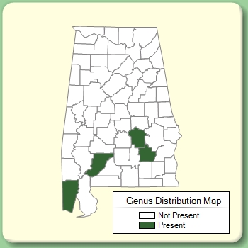 Genus Distribution Map