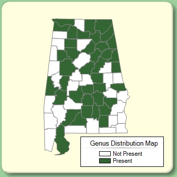 Genus Distribution Map