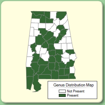 Genus Distribution Map