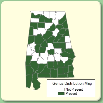 Genus Distribution Map