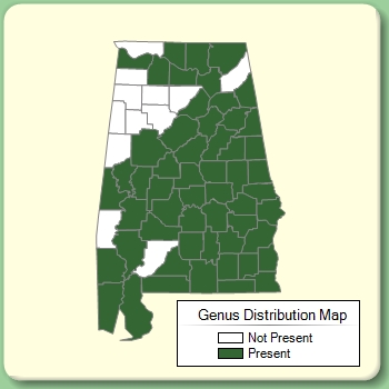 Genus Distribution Map