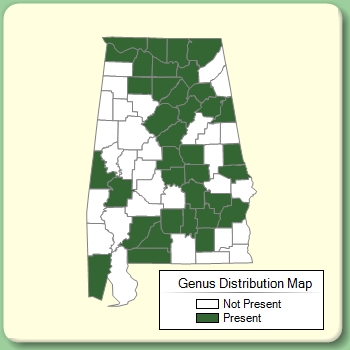 Genus Distribution Map