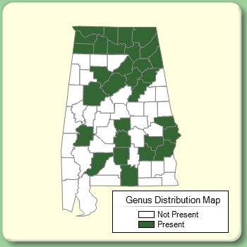 Genus Distribution Map