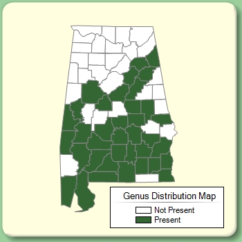 Genus Distribution Map