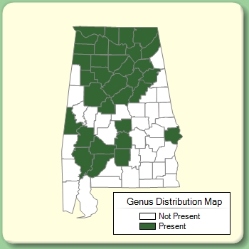 Genus Distribution Map