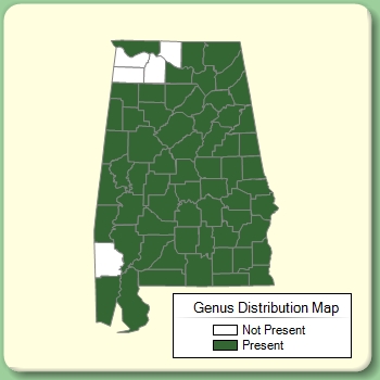 Genus Distribution Map