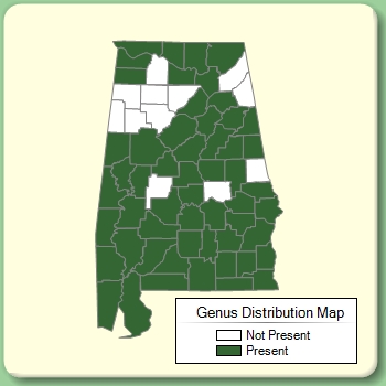 Genus Distribution Map