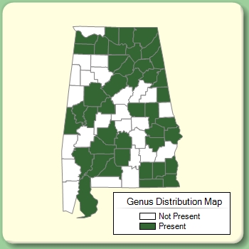 Genus Distribution Map