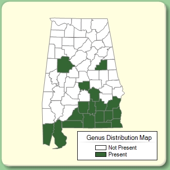 Genus Distribution Map