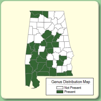 Genus Distribution Map