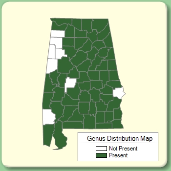 Genus Distribution Map