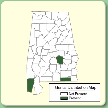 Genus Distribution Map