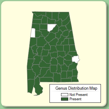 Genus Distribution Map