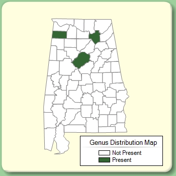 Genus Distribution Map