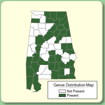 Genus Distribution Map