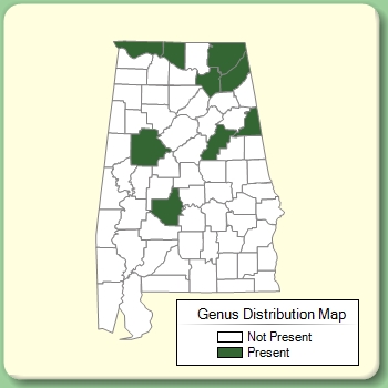 Genus Distribution Map