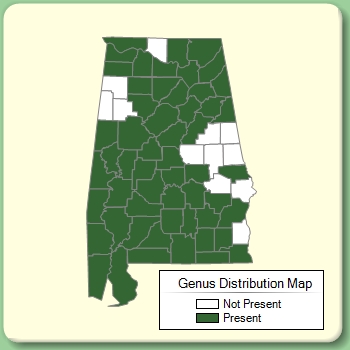 Genus Distribution Map