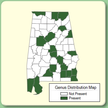 Genus Distribution Map