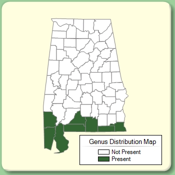 Genus Distribution Map