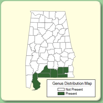 Genus Distribution Map