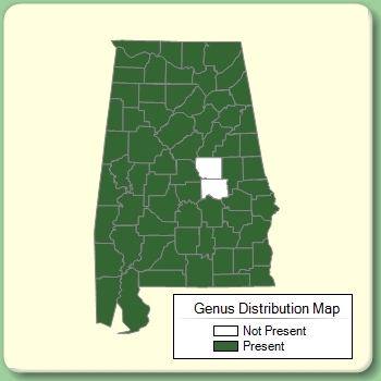 Genus Distribution Map