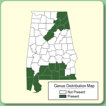 Genus Distribution Map