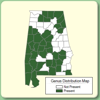 Genus Distribution Map