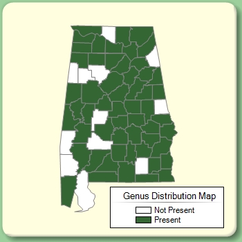 Genus Distribution Map