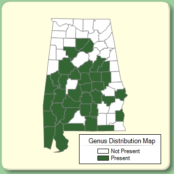 Genus Distribution Map