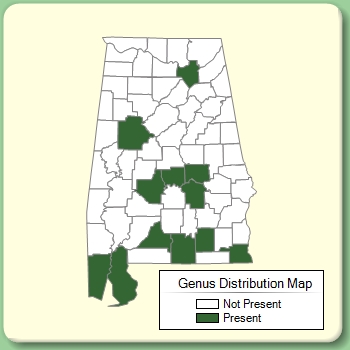 Genus Distribution Map