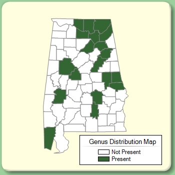 Genus Distribution Map