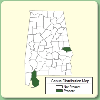 Genus Distribution Map