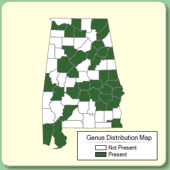 Genus Distribution Map