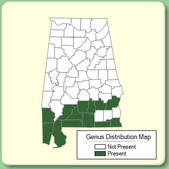 Genus Distribution Map