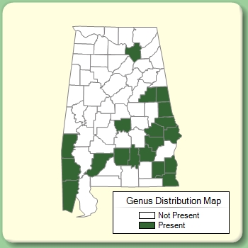 Genus Distribution Map