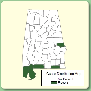 Genus Distribution Map